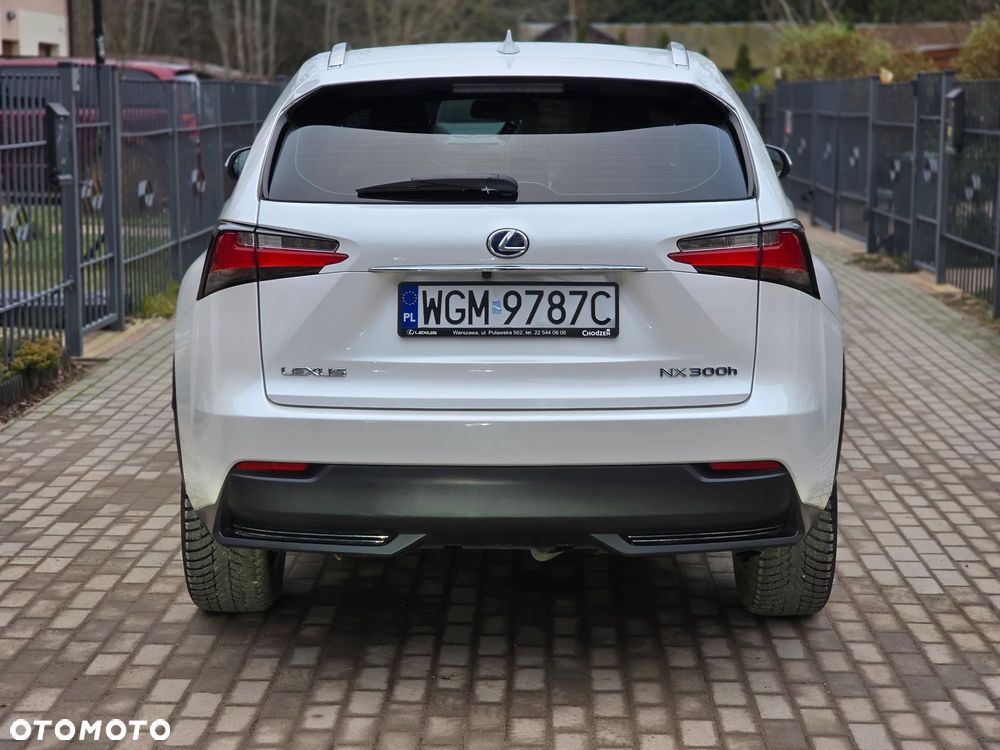 Lexus NX - 6