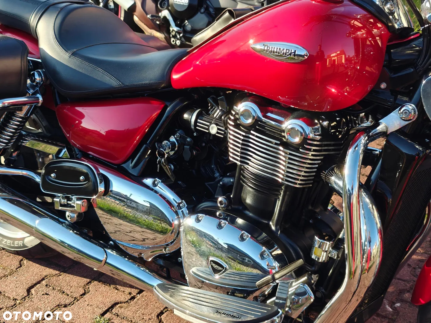 Triumph Thunderbird - 9