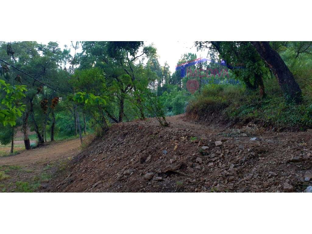 Terreno em Cernache do Bonjardim - Grande imagem: 2/14
