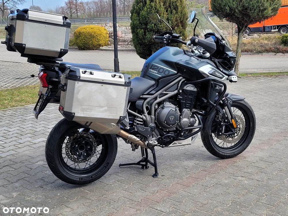 Triumph Tiger - 31