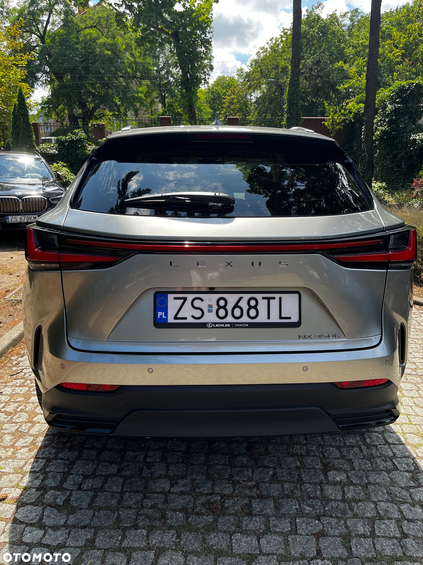 Lexus NX 350h Omotenashi AWD - 5