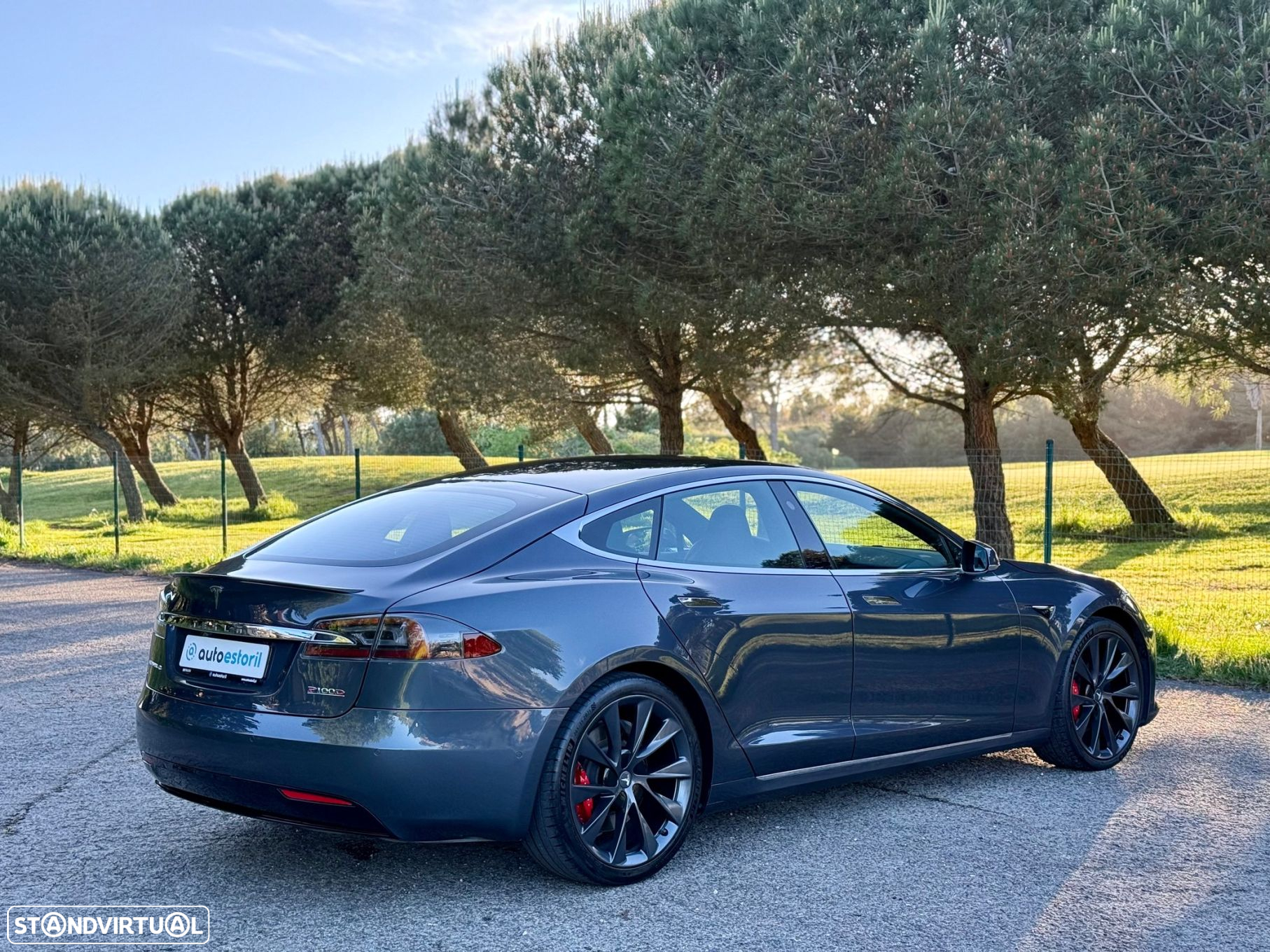Tesla Model S Performance Ludicrous AWD - 6