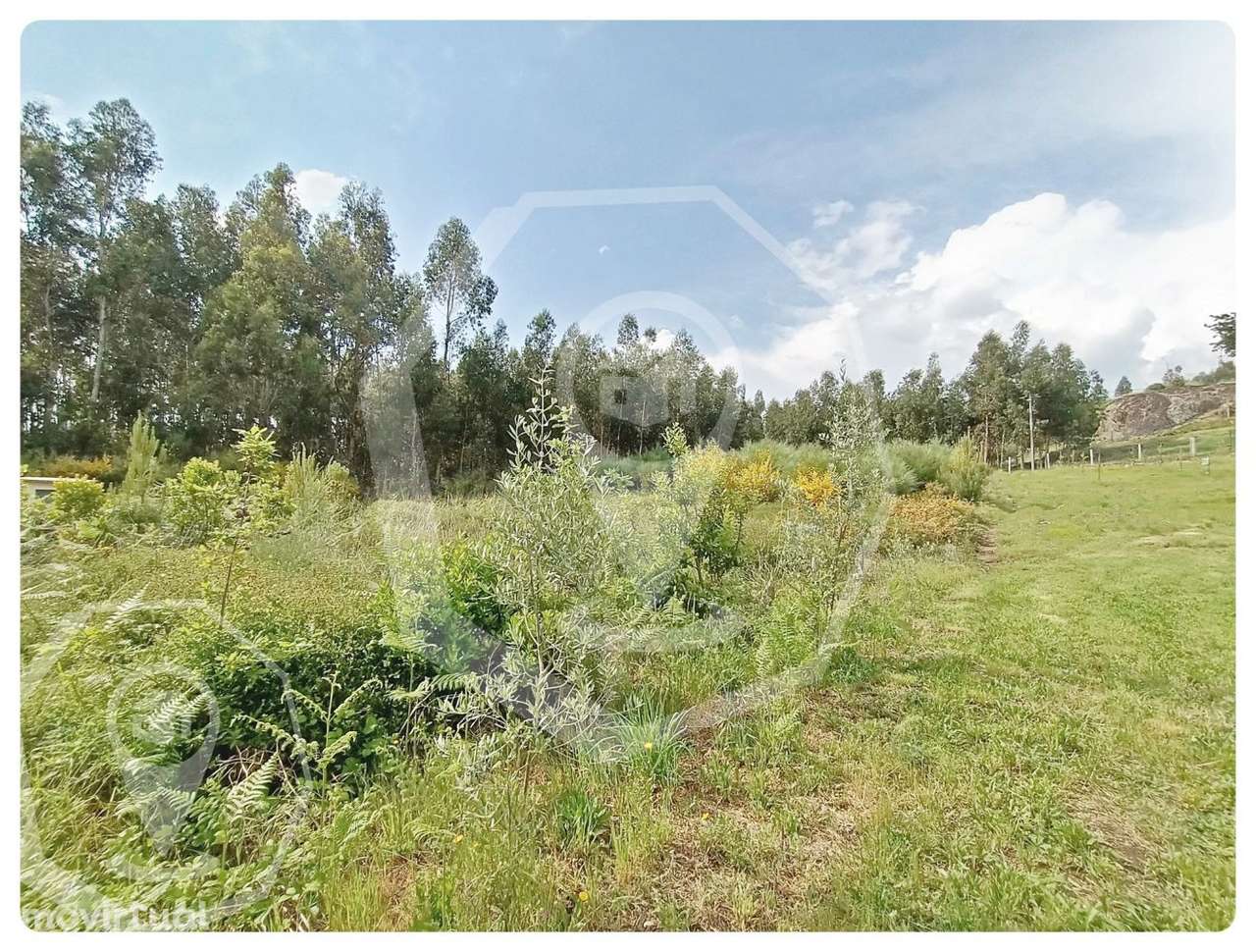 TERRENO - CAMPIA - VISEU - Grande imagem: 4/17