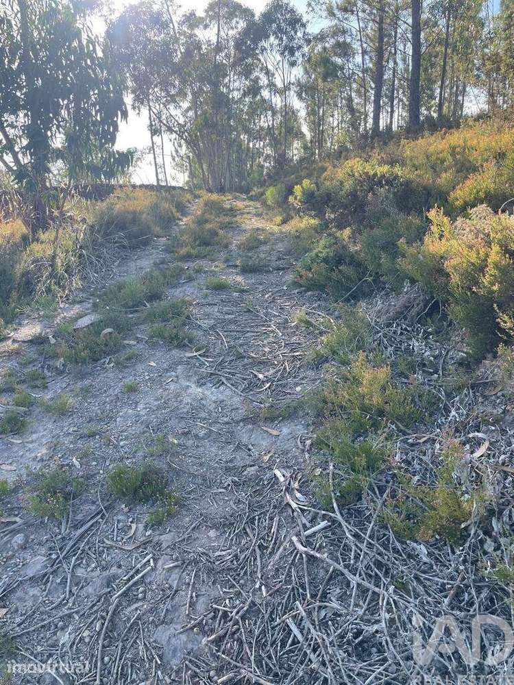 Terreno em Recarei de 4900,00 m2 - Grande imagem: 4/4