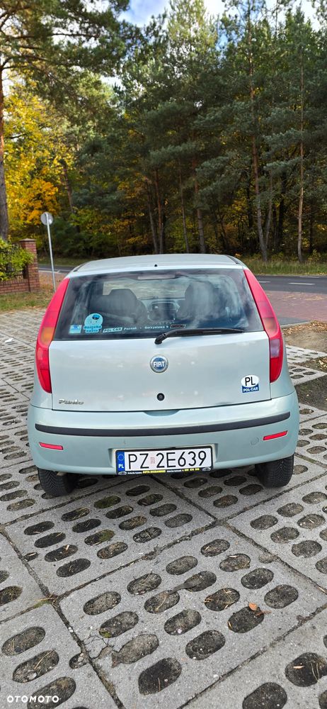 Fiat Punto - 6
