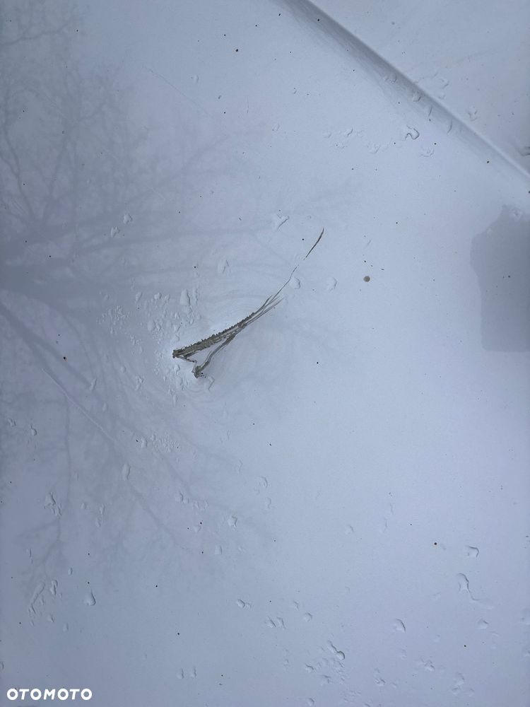 Audi A4 Avant 2.7 TDI DPF multitronic Attraction - 17