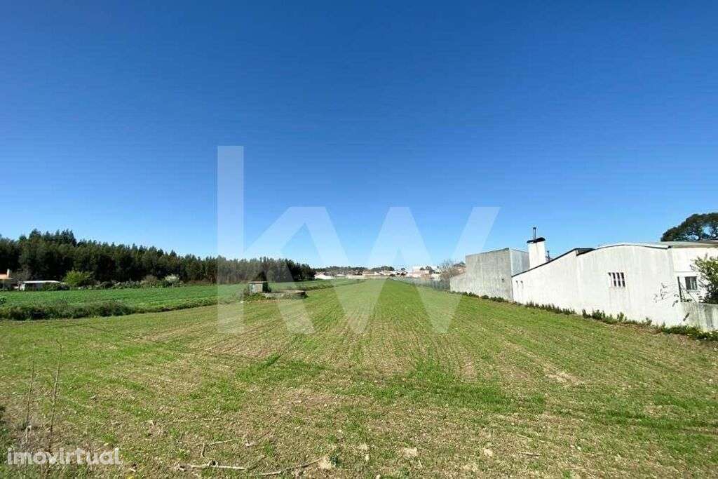 Terreno Urbanizável | Ílhavo | Ervosas | 5350m2 - Grande imagem: 5/24