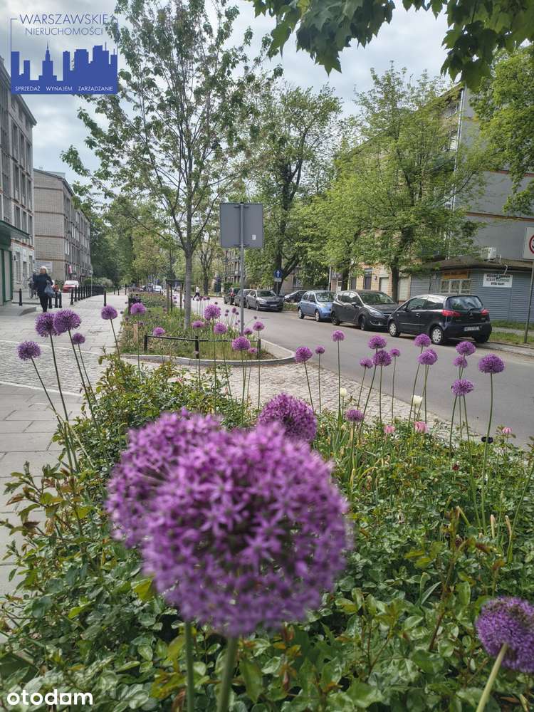 Ciekawe mieszkanie blisko metra