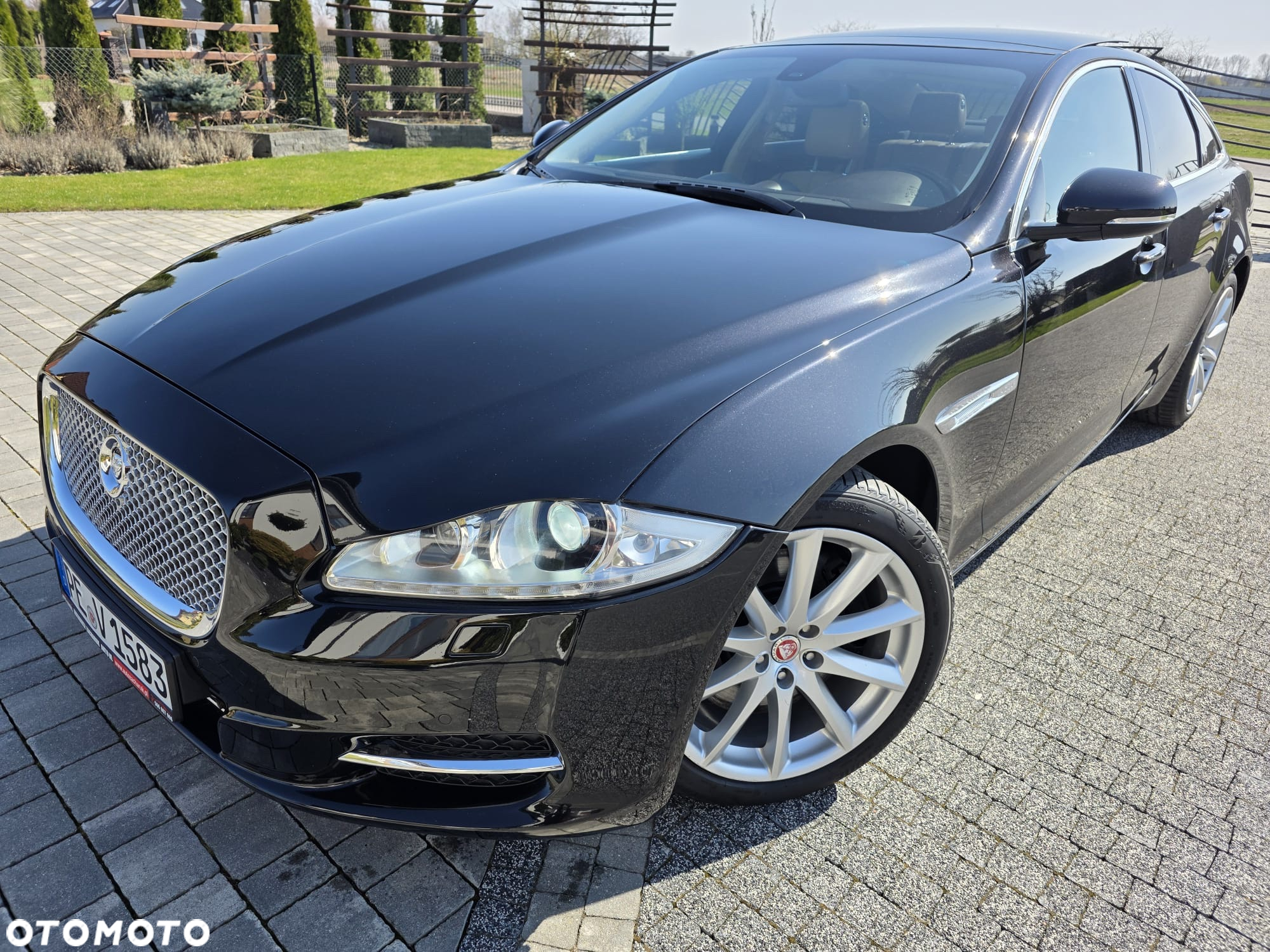 Jaguar XJ 3.0 D V6 Portfolio - 5