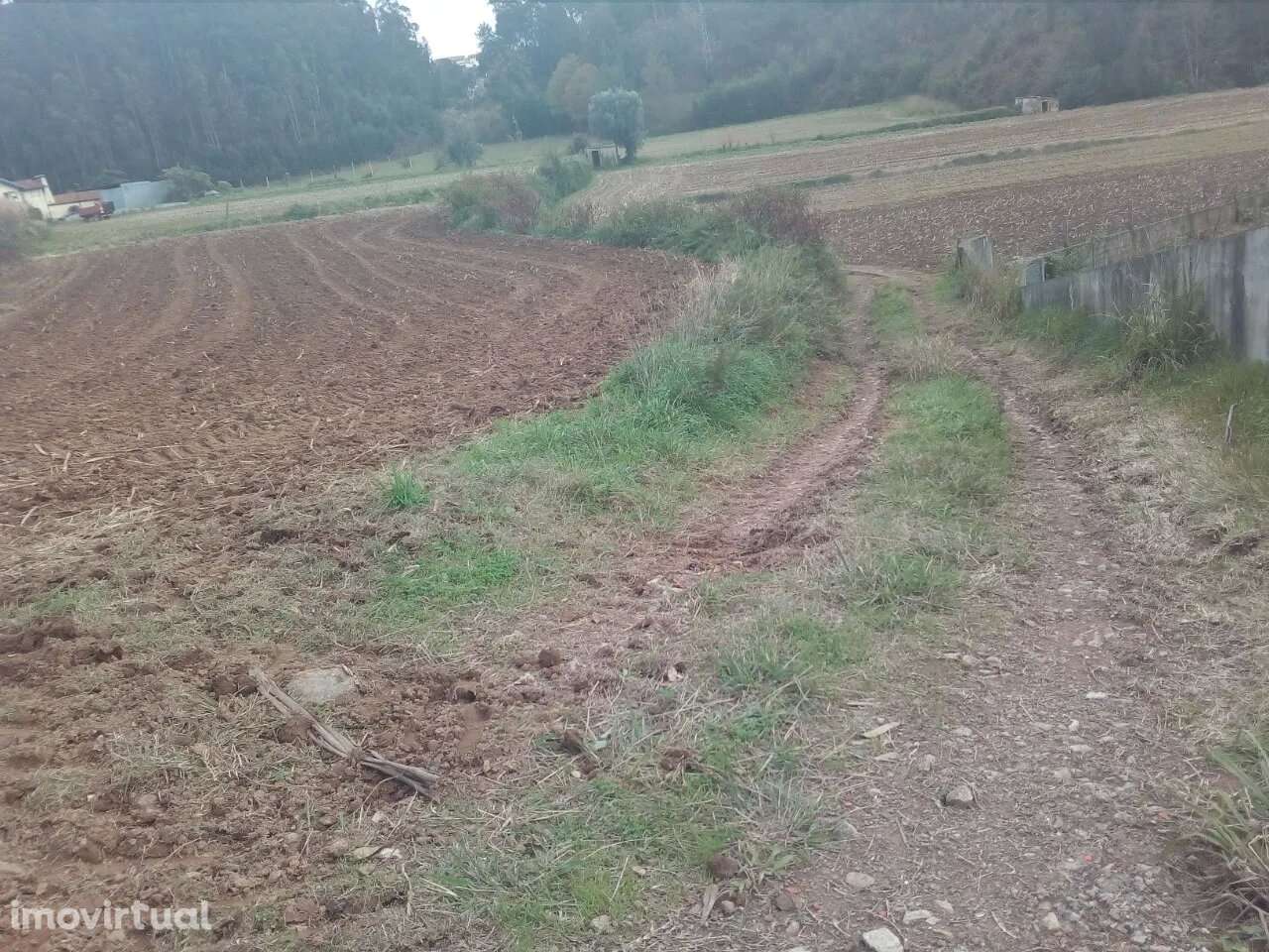 Terreno com viabilidade de construção em Oliveira de Azeméis - Grande imagem: 2/3