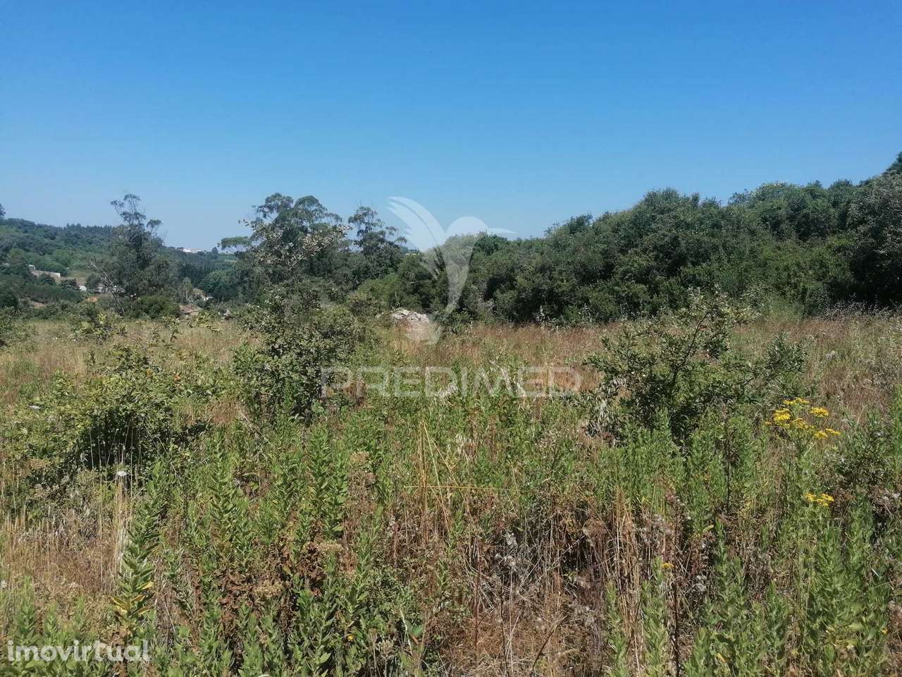 Terreno Rústico em Sobral Monte Agraço - Santo Quintino - Grande imagem: 5/16