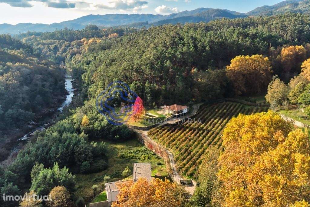 Quinta do Adigueiro – Charme, natureza e produção de vinho junto ao ri - Grande imagem: 3/60