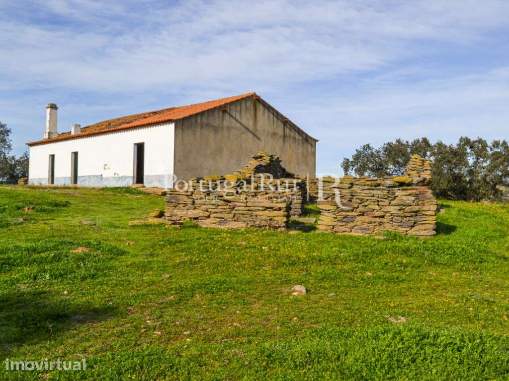 Herdade de 60 ha e monte, em Reguengos de Monsaraz - Grande imagem: 3/29