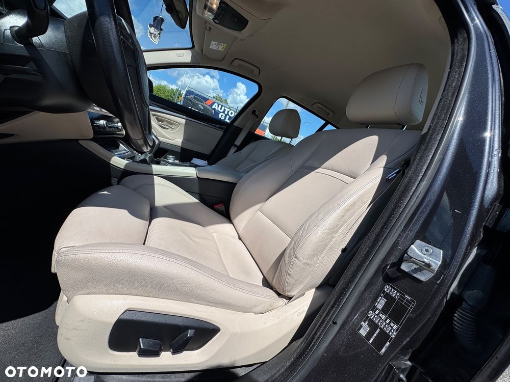 BMW Seria 5 520d Blue Performance - 25