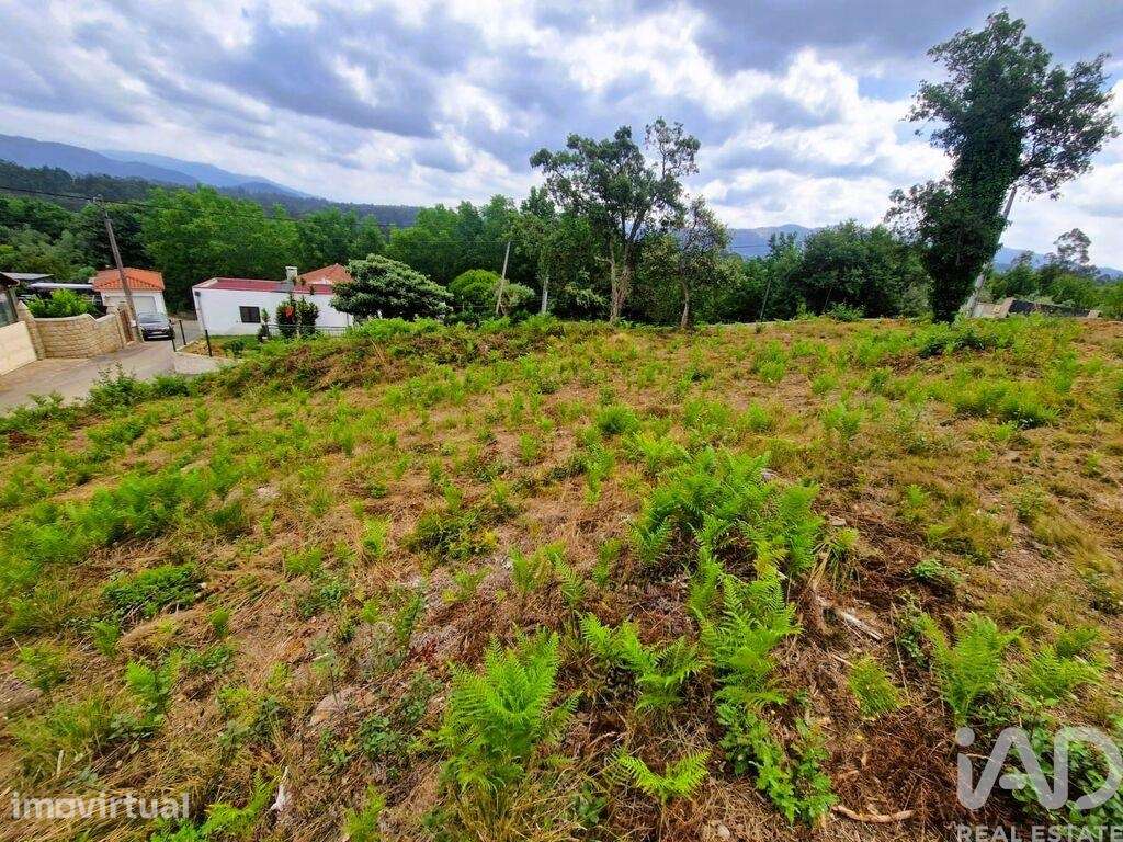 Terreno Agrícola em Lanheses - Grande imagem: 2/21