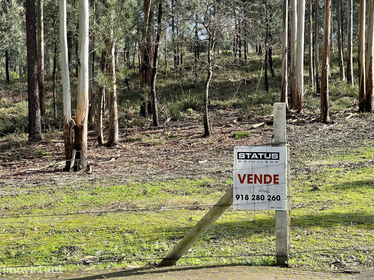 Terreno Rústico  Venda em Vilarinho das Cambas,Vila Nova de Famalicão - Grande imagem: 2/7