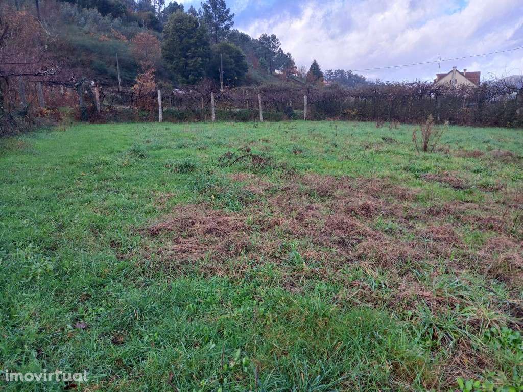 Terreno - Grande imagem: 5/6