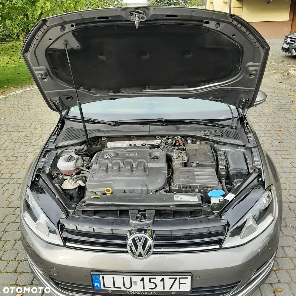 Volkswagen Golf 1.6 TDI BlueMotion Technology Allstar - 4
