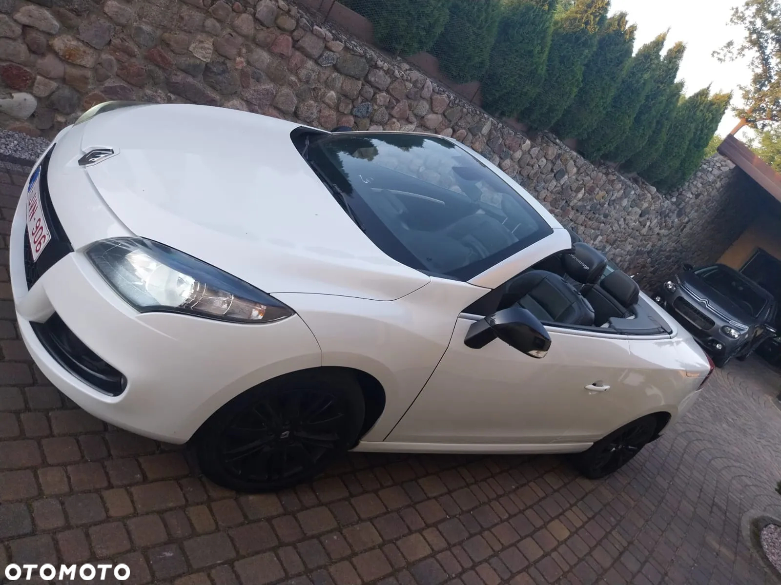 Renault Megane - 19