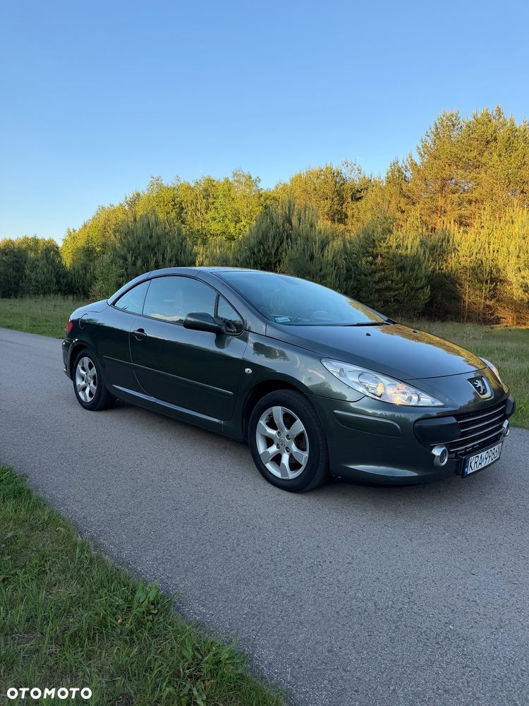 Peugeot 307 CC 2.0 Intense - 15