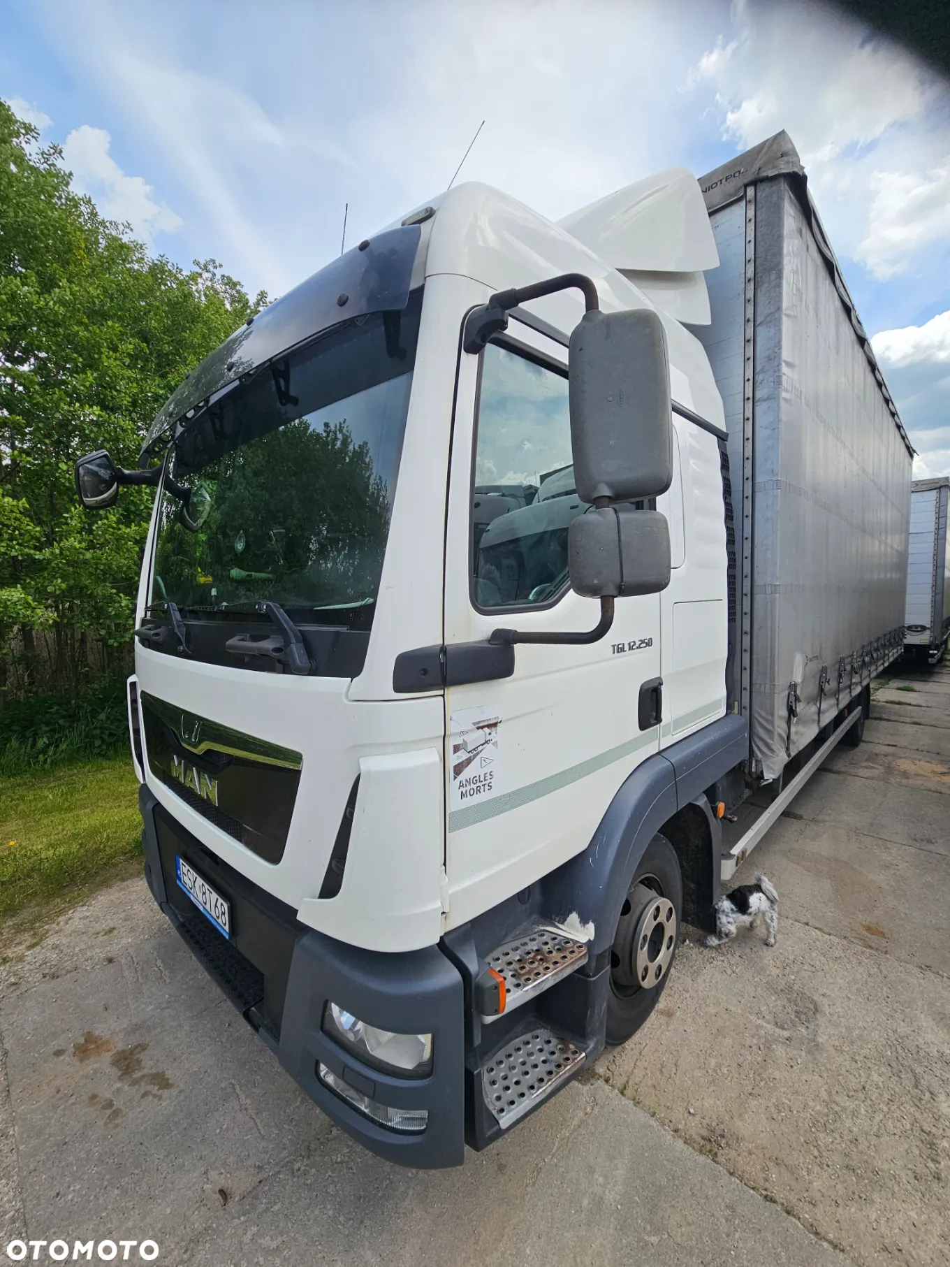 MAN TGL 12-250 - 5