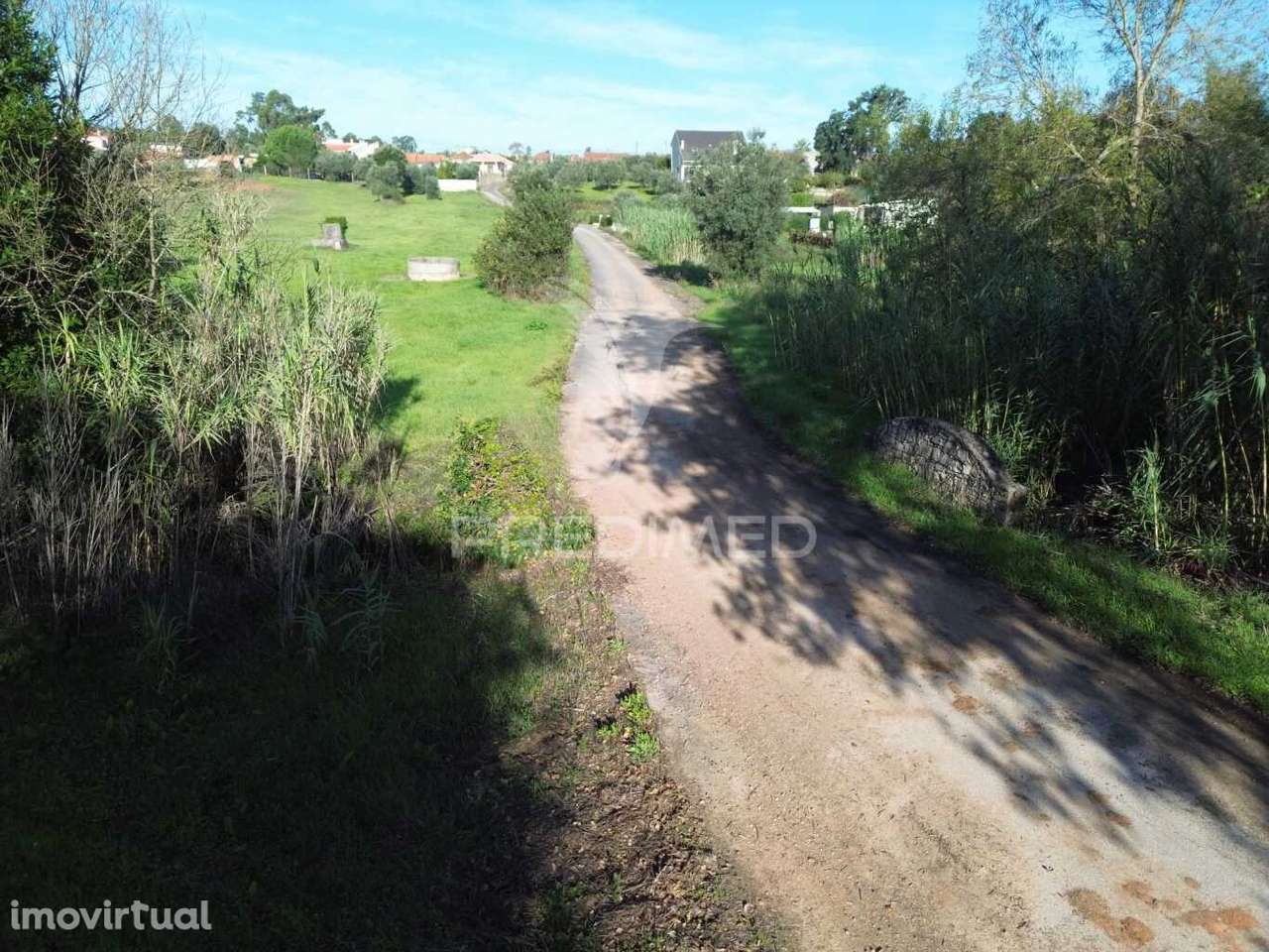 Terreno Rústico de 9.680 m² em Arneiro das Milhariças - Grande imagem: 3/25