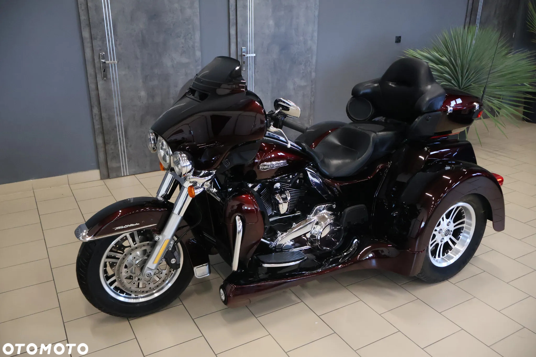 Harley-Davidson FLHS Electra Glide - 6
