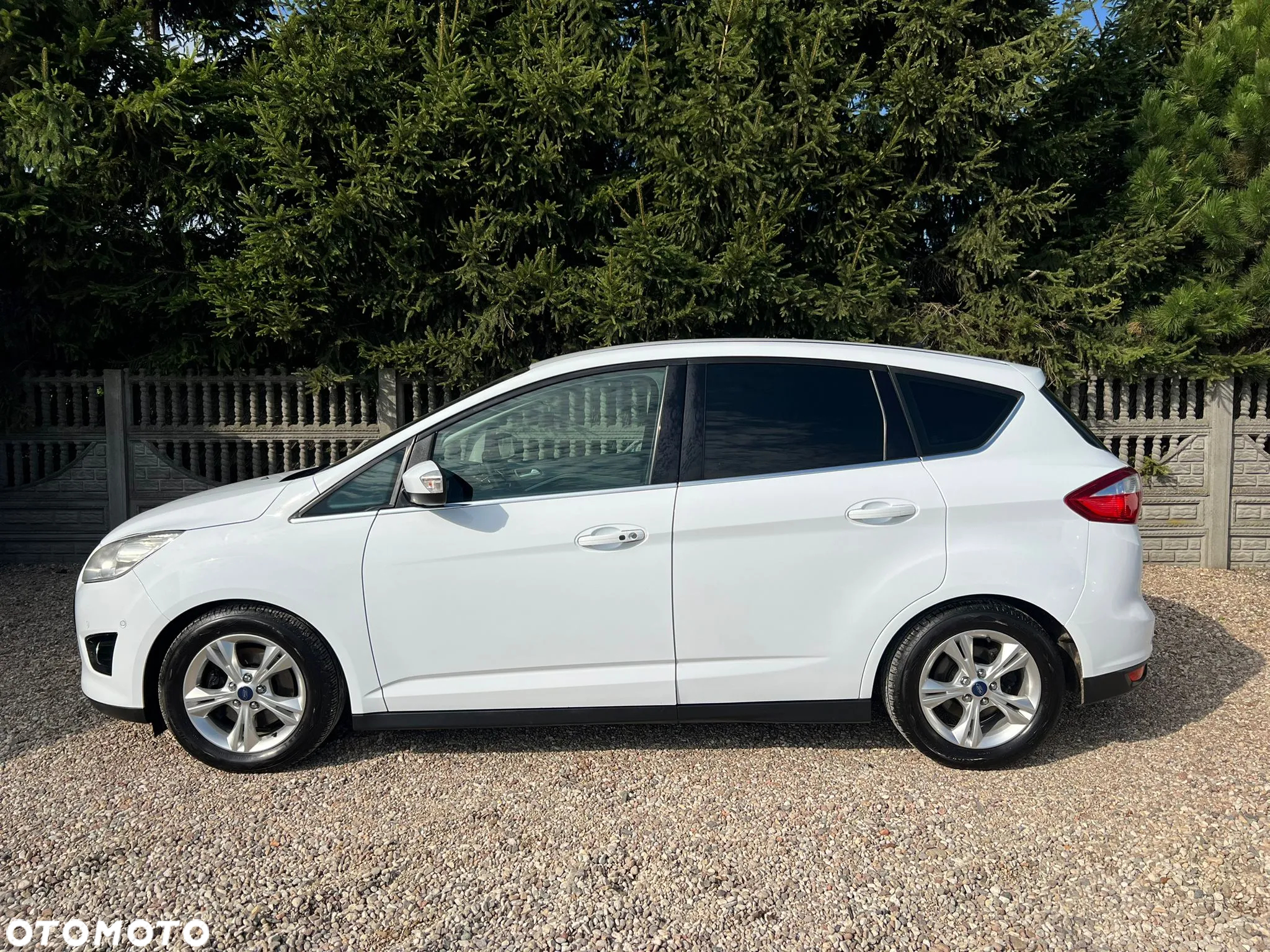Ford C-MAX 2.0 TDCi Titanium - 37