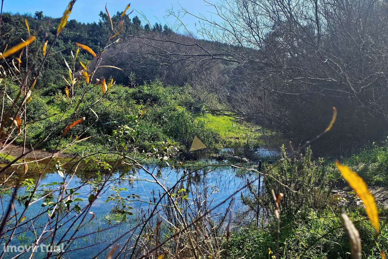 Terreno de 27 Hectares nas Romeiras, Marmelete, Monchique - Grande imagem: 2/28