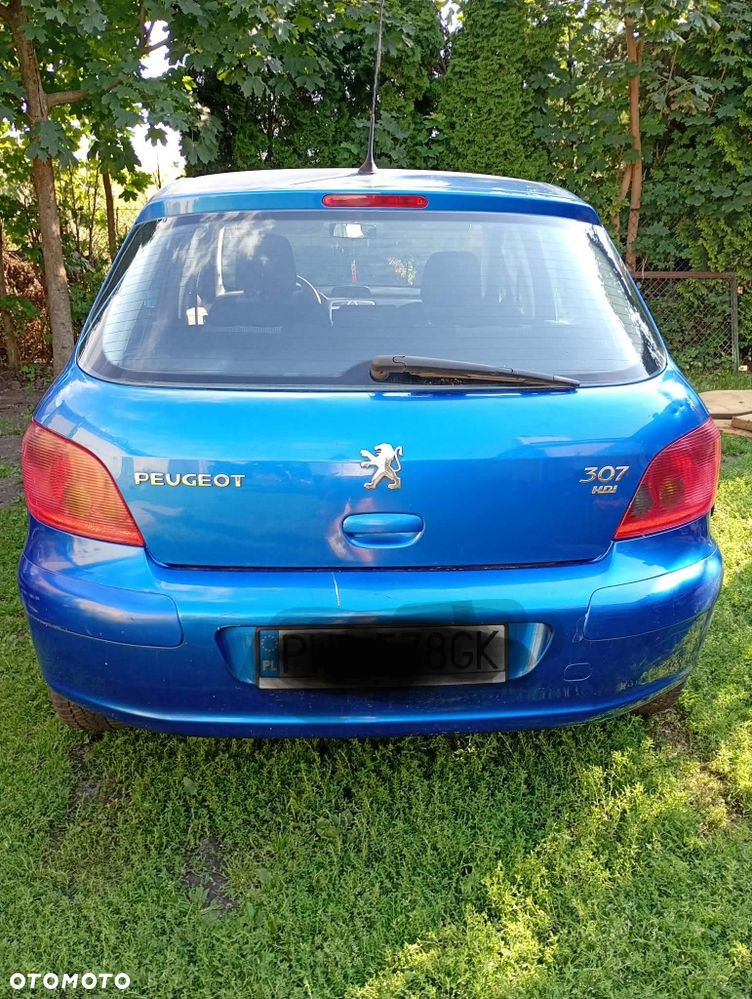 Peugeot 307 - 5