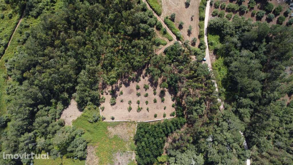 Venda Terreno - Grande imagem: 5/16