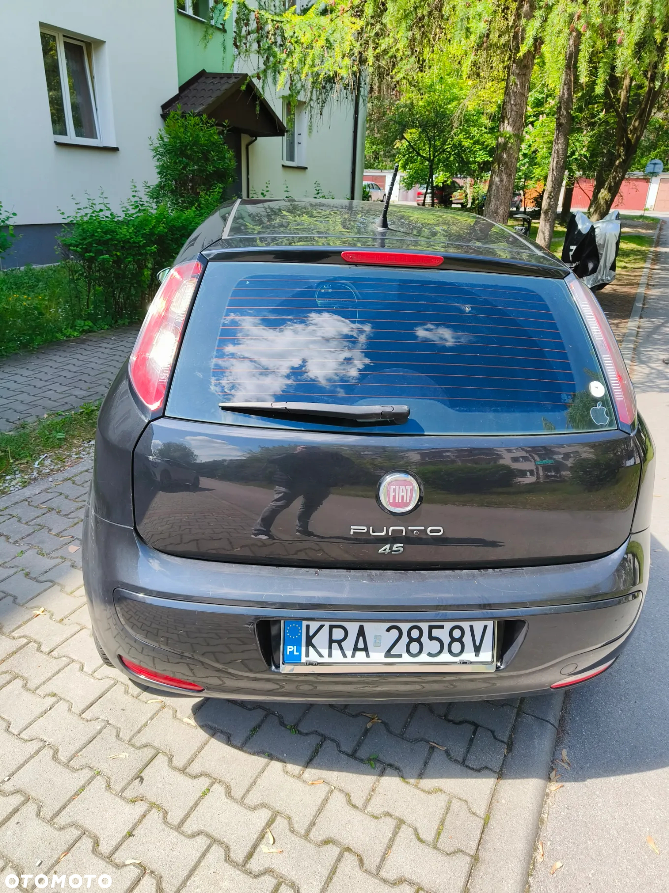 Fiat Punto 1.2 Easy Euro6 - 4