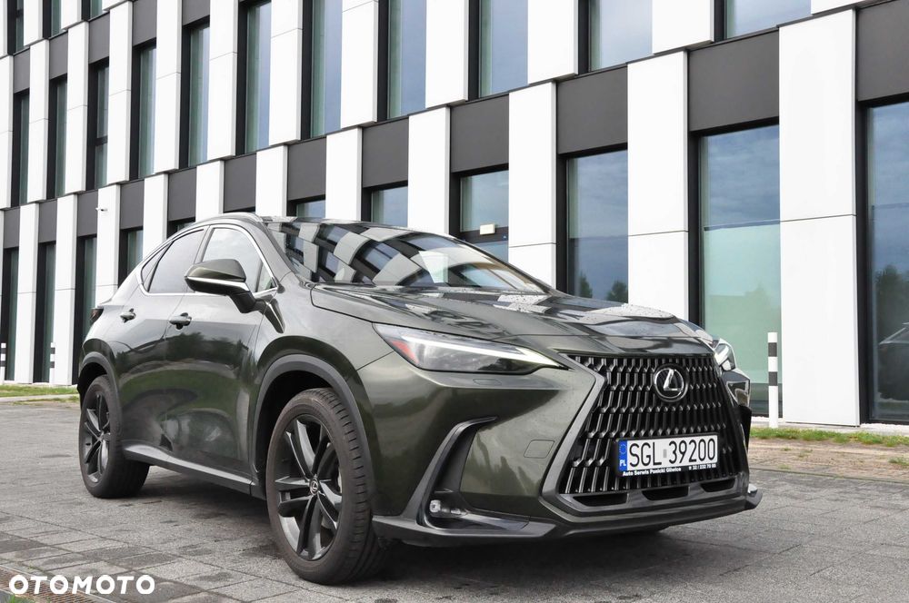 Lexus NX - 6