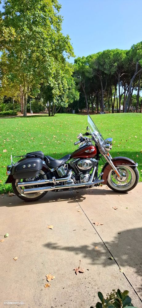 Harley-Davidson FLSTS Softail Deluxe - 1