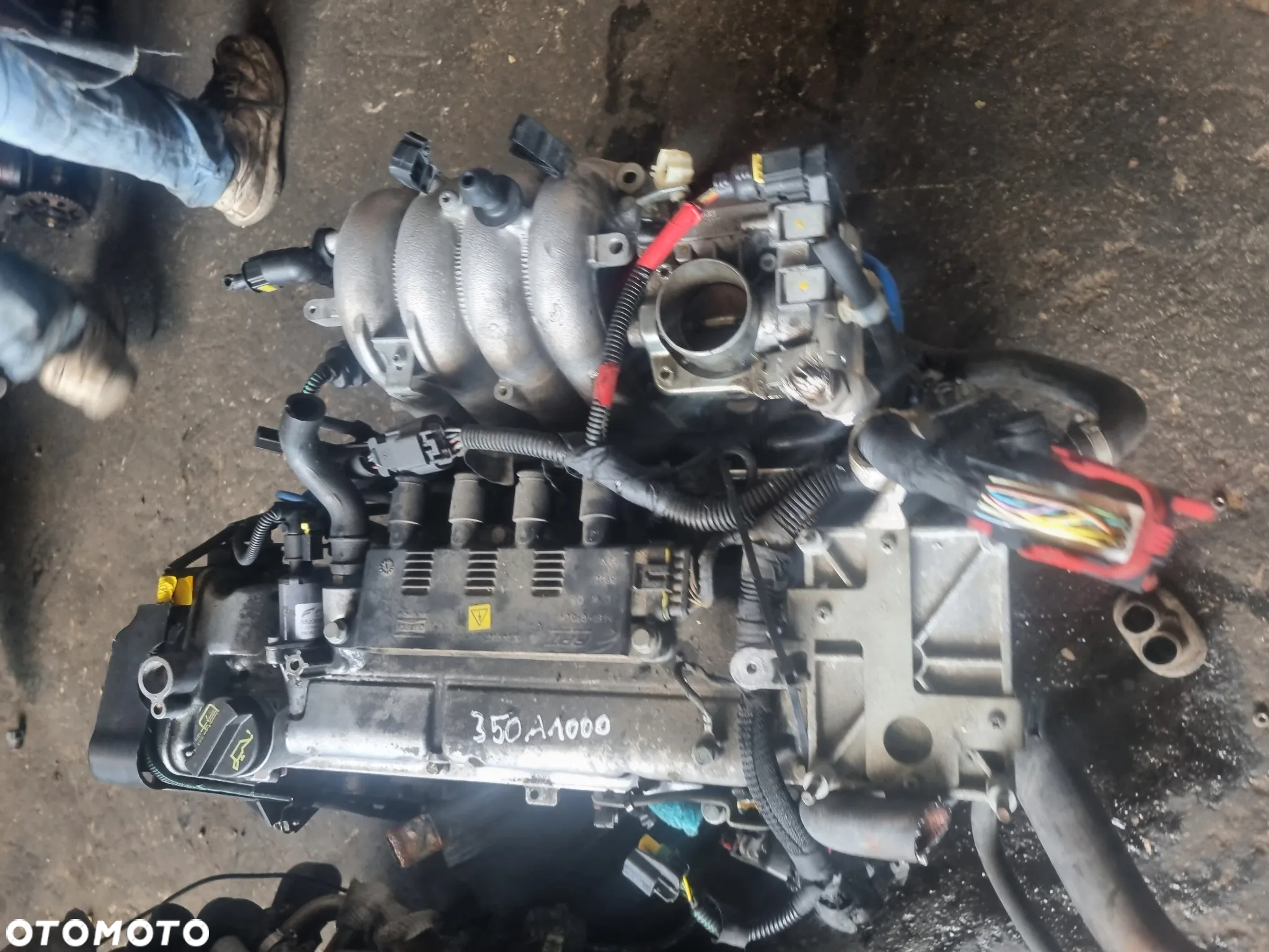 Silnik Fiat Grande Punto 1.4 8v 77km 350A1000 - 2