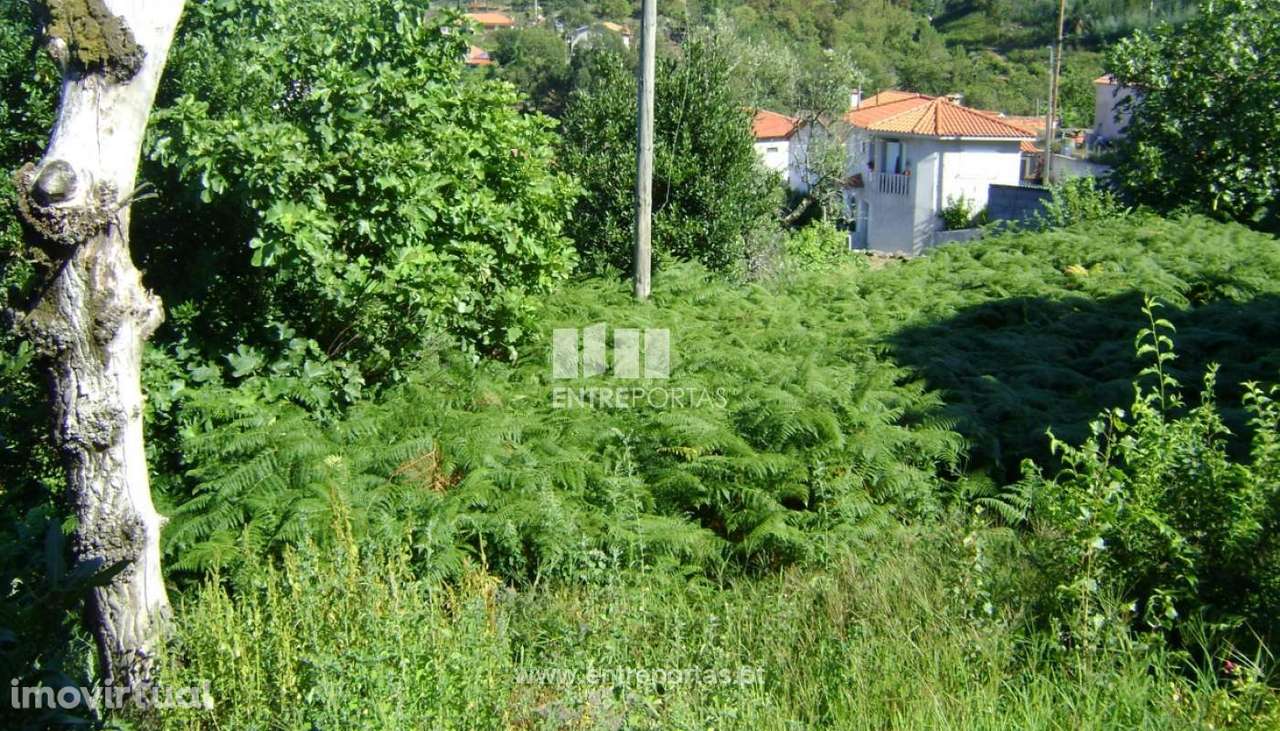 Venda Moradia para reconstruir, Manhuncelos, Marco de Canaveses - Grande imagem: 3/17