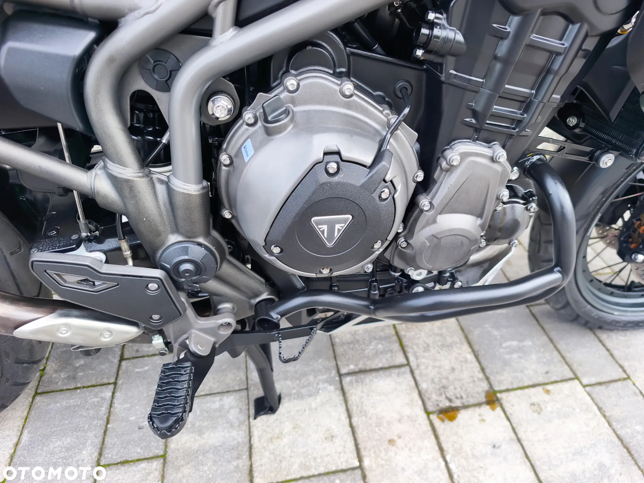Triumph Tiger - 15