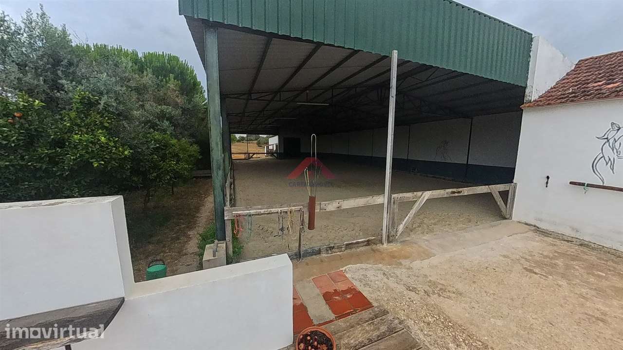 Quinta T7 Venda em Azoia de Cima e Tremês,Santarém - Grande imagem: 5/34
