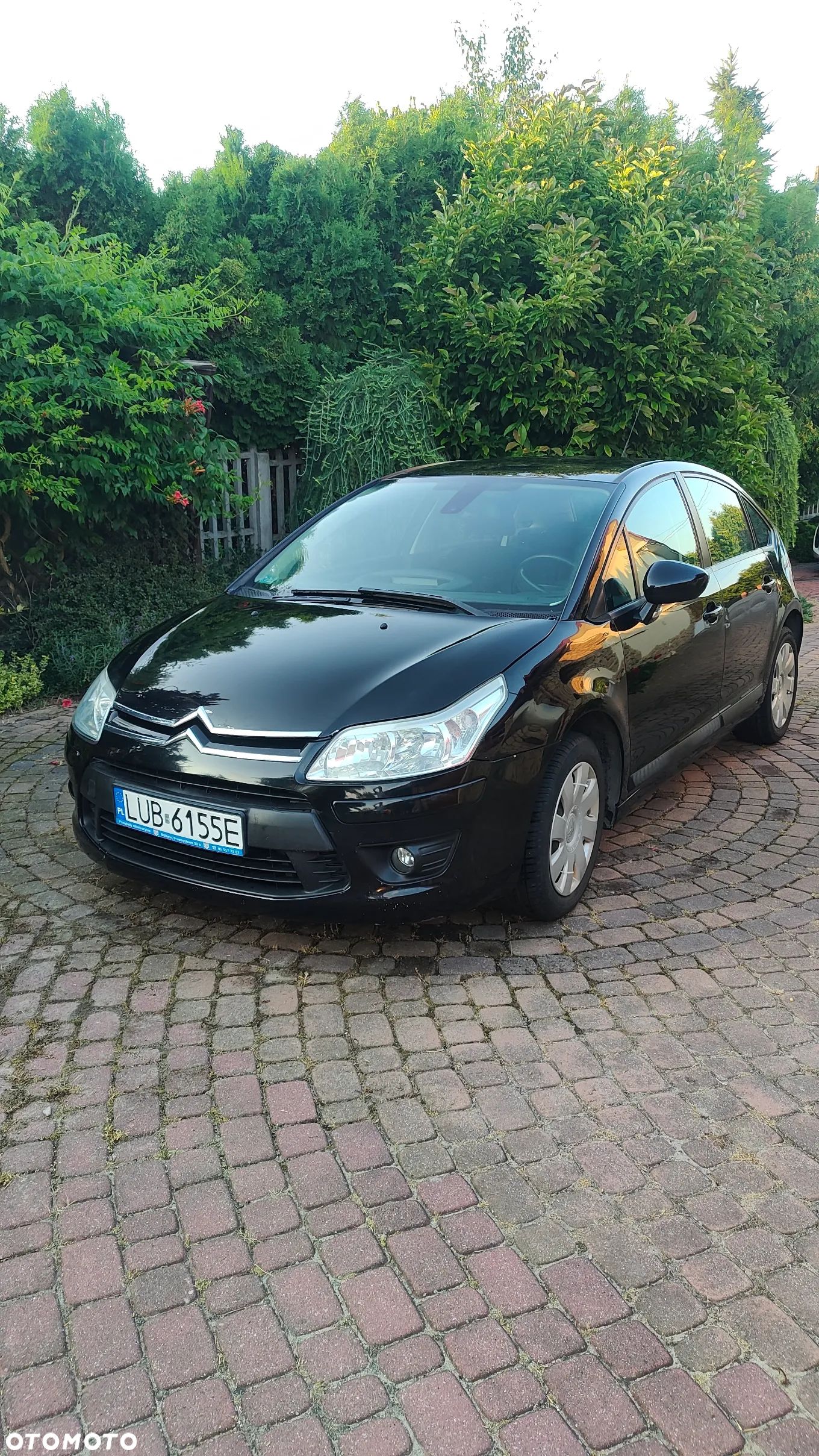 Citroën C4 - 1