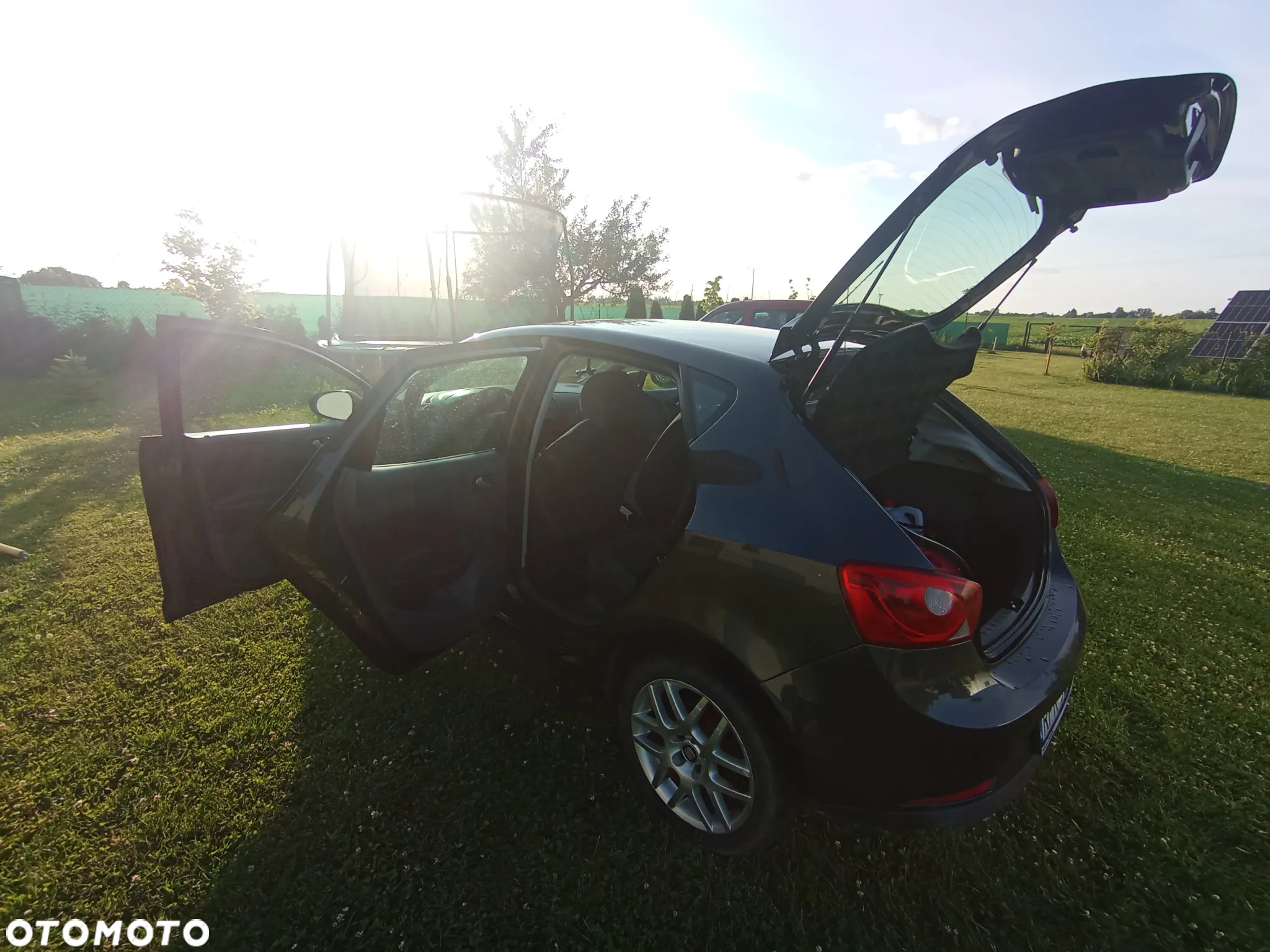 Seat Ibiza - 14