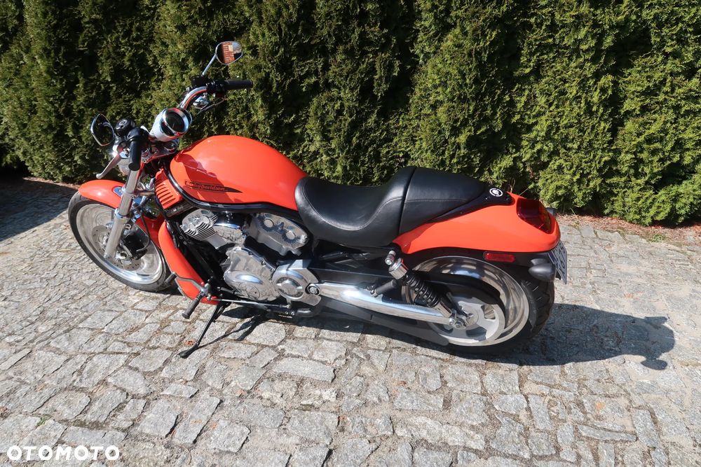 Harley-Davidson V-Rod Night Rod - 11