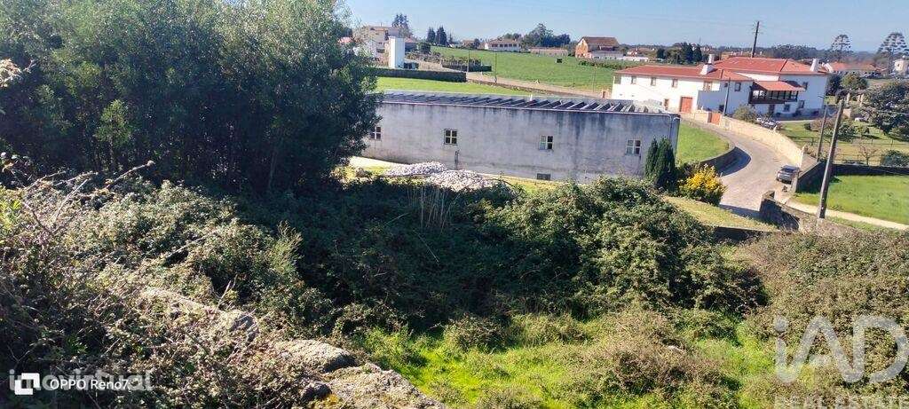 Terreno Agrícola em Guilhabreu - Grande imagem: 4/33