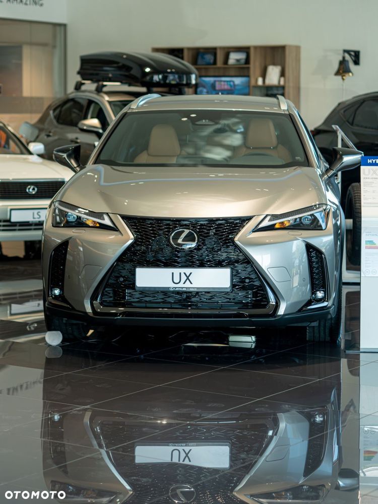 Lexus UX 300h F Sport Design - 1