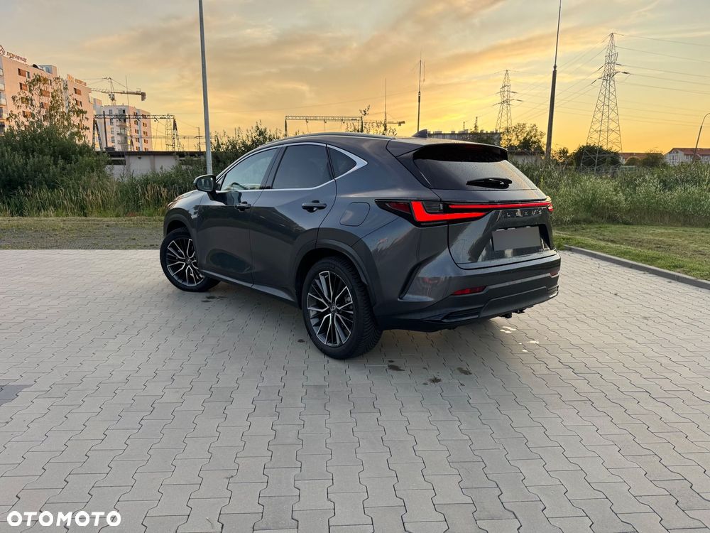 Lexus NX 350h Omotenashi AWD - 10