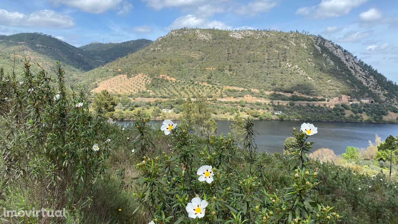 Terreno Rústico às Portas de Rodão com Quota de Rio, Vila Velha de Ród - Grande imagem: 4/12