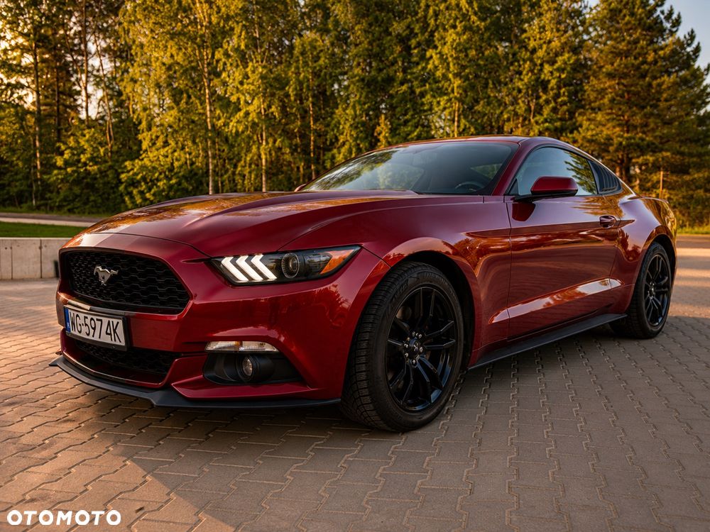 Ford Mustang - 14