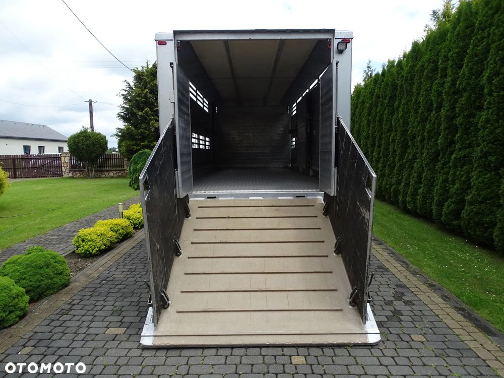 DAF CF 410 / DO ZWIERZĄT / ŻYWCA / BYDŁA / Z NIEMIEC / - 6