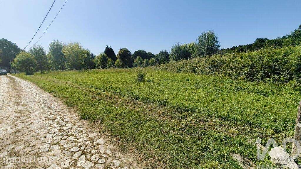 Terreno Agrícola em Vilar de Mouros - Grande imagem: 3/9