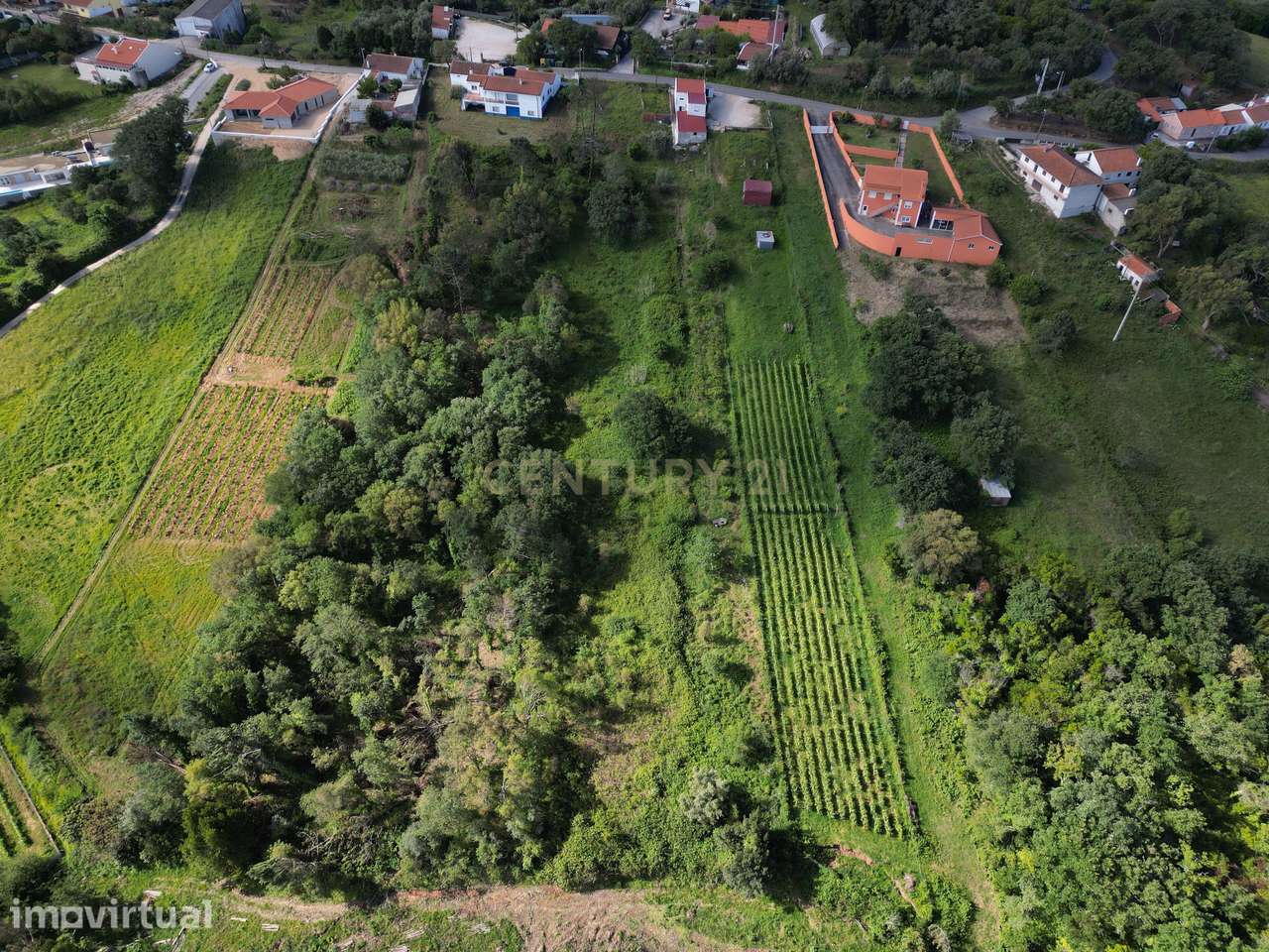 Terreno para construção - Bemposta, Maiorga, Alcobaça - Grande imagem: 4/10