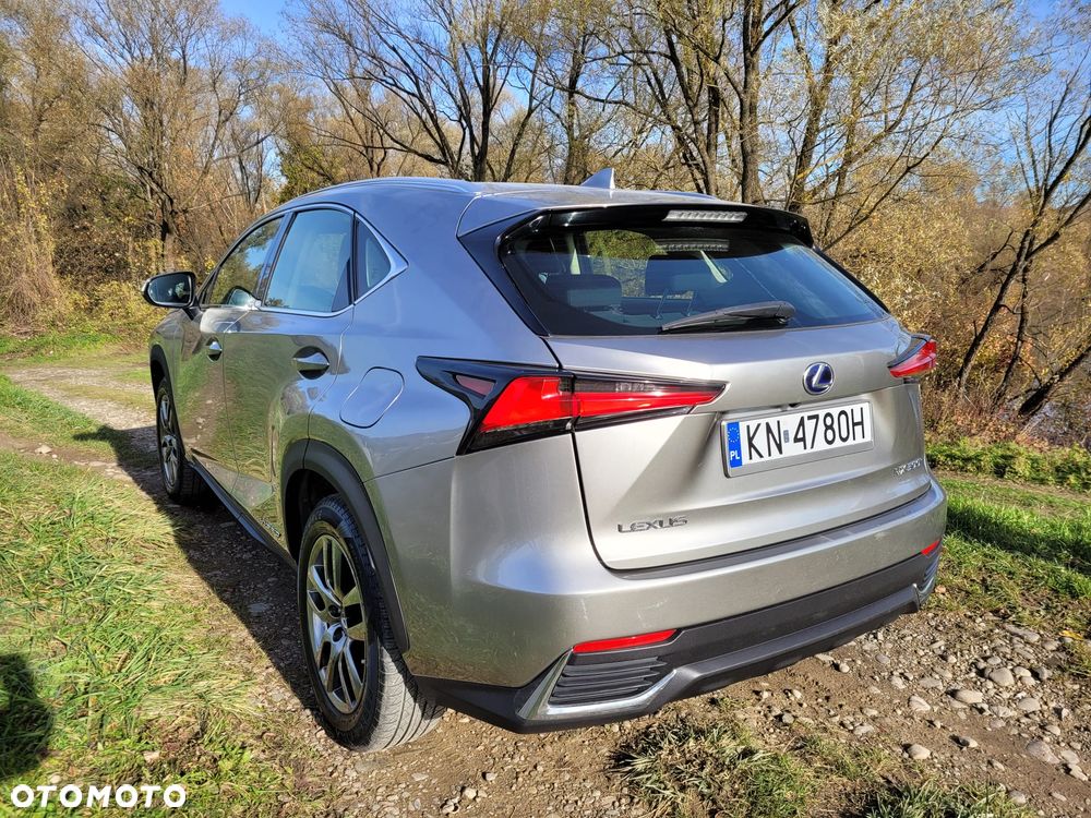 Lexus NX 300h Business Edition - 4